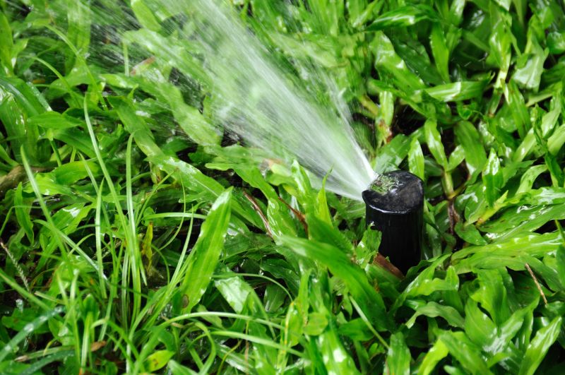 Healthy Lawn & Garden